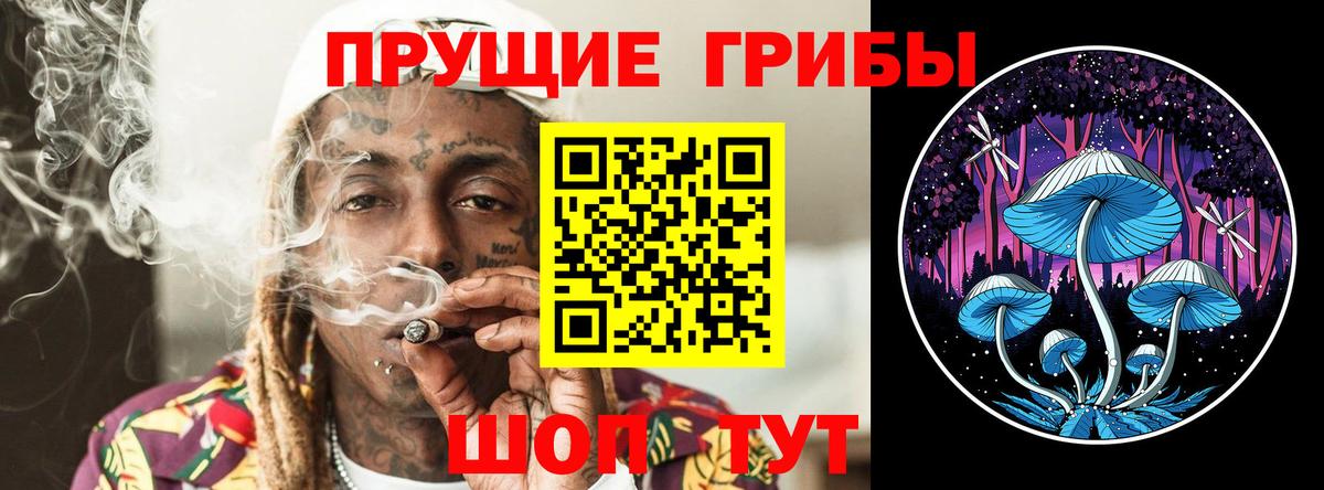 Псилоцибиновые грибы ЛСД Ялта